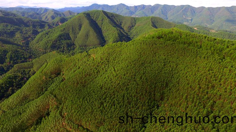 林(lin)地(di)
